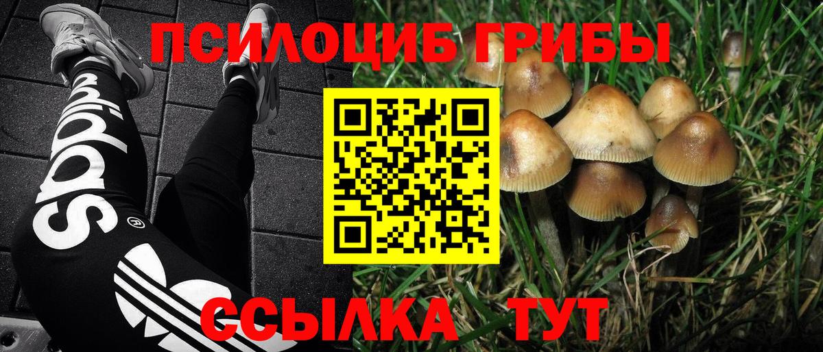 Псилоцибиновые грибы Psilocybe  Псилоцибиновые грибы Magic Shrooms  Лыткарино  Вход с VPN 