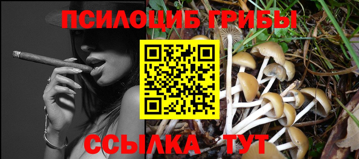 Псилоцибиновые грибы MAGIC MUSHROOMS Лыткарино